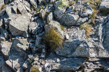 doğada taş tuğla tectured desen