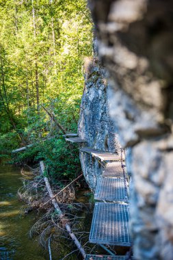kayalık körfez ve şelaleler ile orman nehri