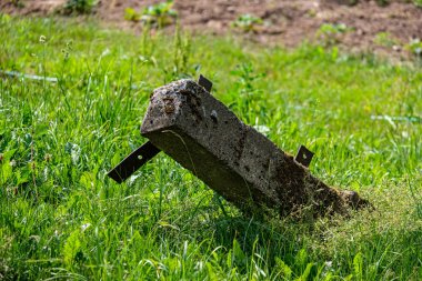ülke doğa bahçesinde çim ve yeşillik doku