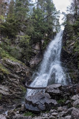 kayalık körfez ve şelaleler ile orman nehri