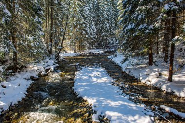 kayalık körfez ve şelaleler ile orman nehri