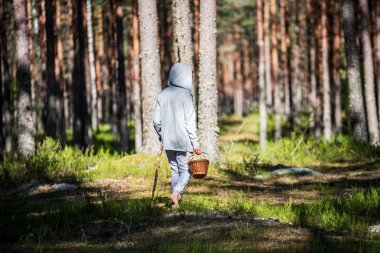 Ormanda böğürtlen ve mantar arayan genç kadın