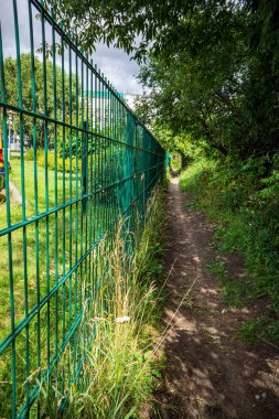 ormanda kırsal toz yol
