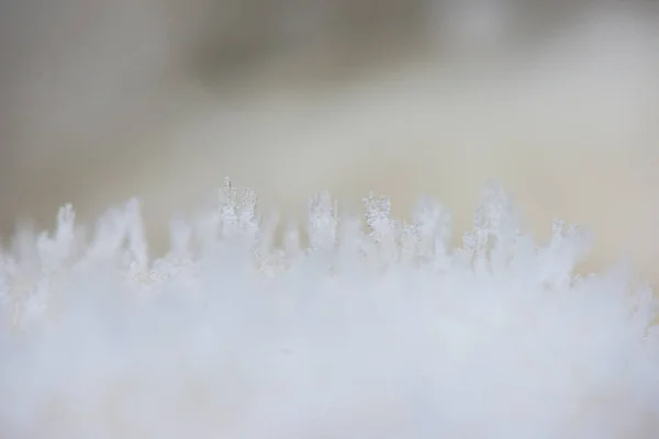 Glace gelée textures abstraites — Photo