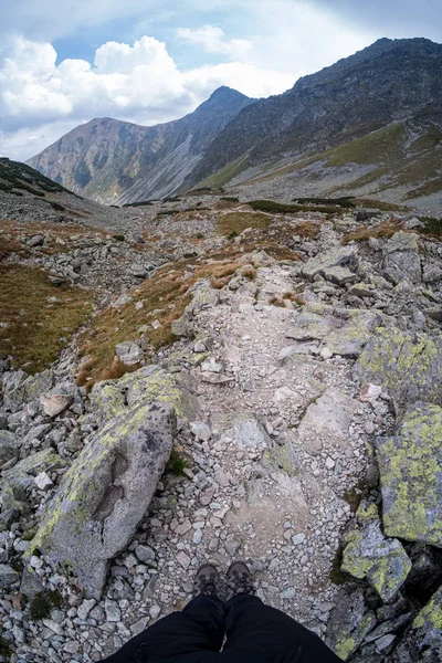 Pietra mattone tetturata modello in natura — Foto Stock