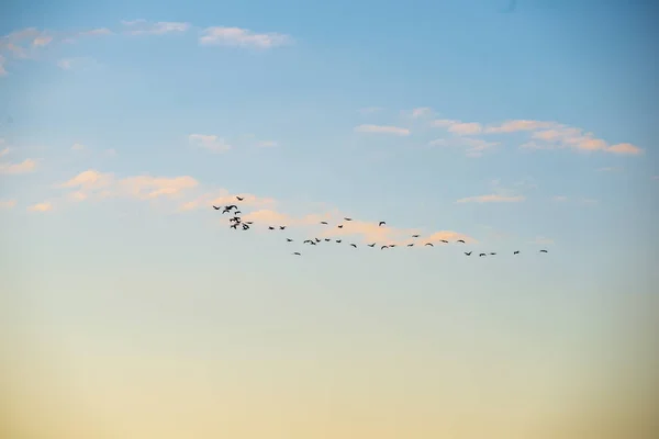 Cielo blu con nuvole e piste piane — Foto Stock