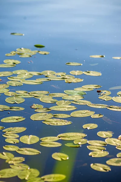 Вода в озере — стоковое фото