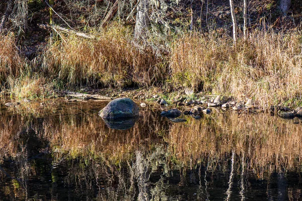 Лісова річка з кам'янистою затокою і водоспадами — стокове фото