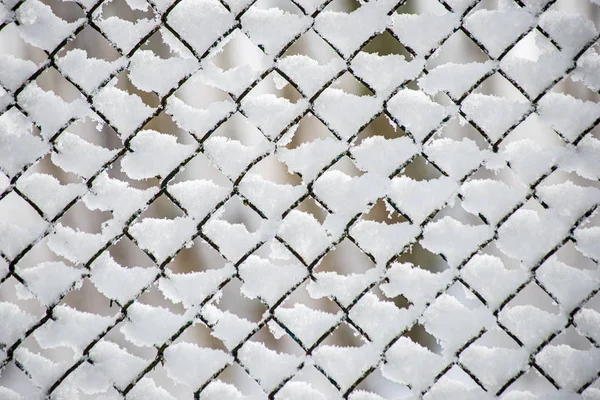 Простой забор под снегом зимой — стоковое фото