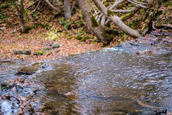 Lesní řeka s kamennatým zálivem a vodopády — Stock fotografie