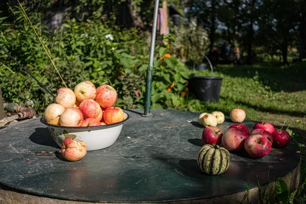 Cosecha de manzana en el suelo en el jardín de la casa de campo — Foto de Stock