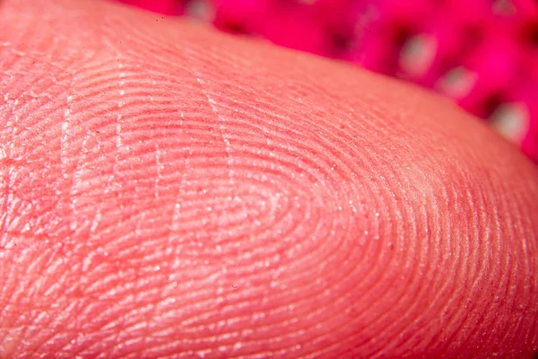 Makroaufnahme menschlicher Fingerabdrücke in Vergrößerung — Stockfoto