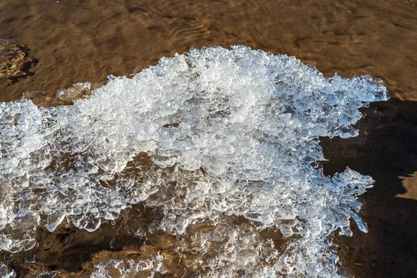 Winter koude natuur Details met sneeuw en vegetatie onder sneeuw c — Stockfoto