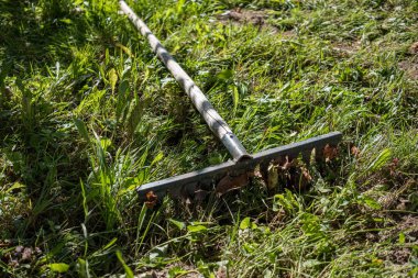 zemin yeşil çayır da bahçe araçları