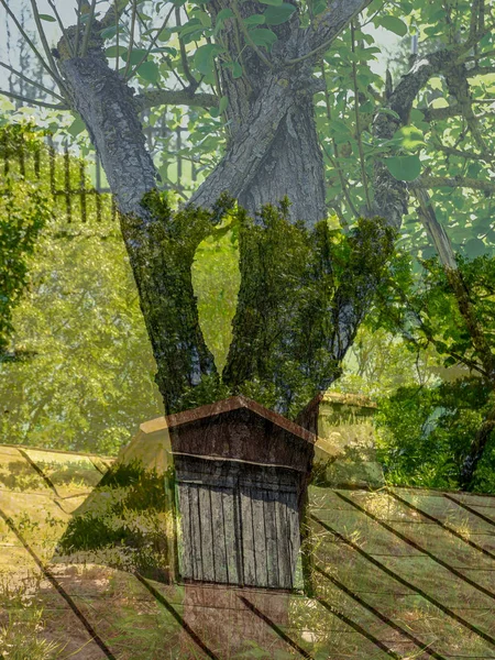 田舎の家の庭のフェンスの詳細 — ストック写真