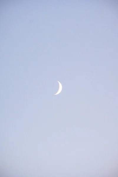 Moon rising on dark blue sky — Stock Photo, Image