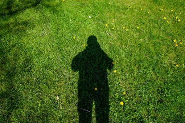 large black human shadow in green meadow