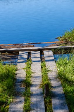 ormandaki orman gölünde sakin yaz günü akşamı