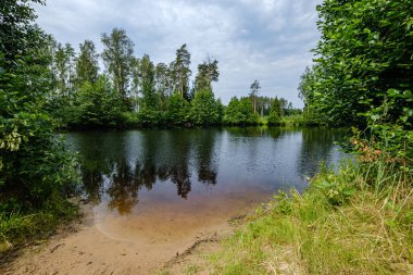 ormandaki orman gölünde sakin yaz günü akşamı