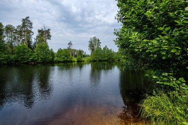 ormandaki orman gölünde sakin yaz günü akşamı