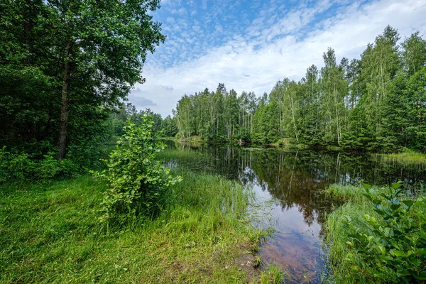 Día de verano tranquilo por la noche junto al lago del bosque en el bosque — Foto de Stock