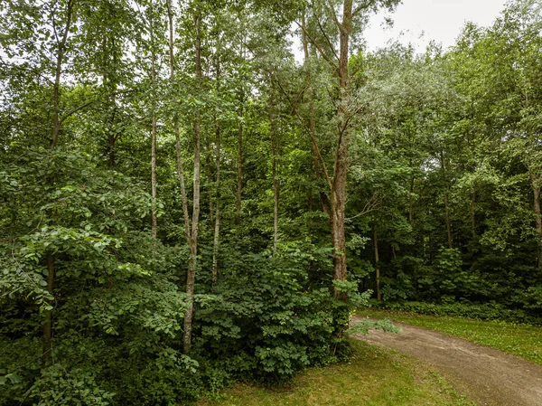 Yeşil orman ve alanlarda ülke yol drone havadan görüntü — Stok fotoğraf