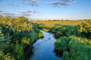 ormandaki orman gölünde sakin yaz günü akşamı