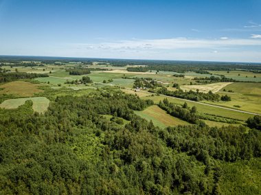 yaz aylarında drone havadan görüntü sonsuz yeşil orman