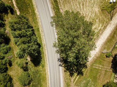 yeşil orman ve alanlarda ülke yol drone havadan görüntü