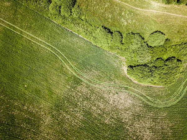 Obdělávaná zemědělská pole z vyšších než ptačí oko v létě — Stock fotografie