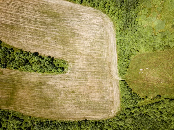 Campos agrícolas cultivados acima dos olhos das aves no verão — Fotografia de Stock