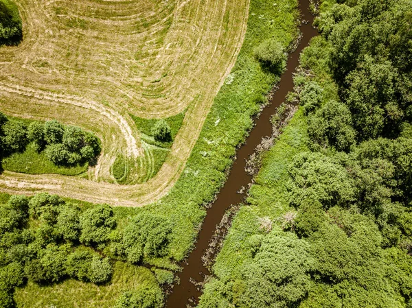 Country river in green forest. drone aerial image — Stock Photo, Image