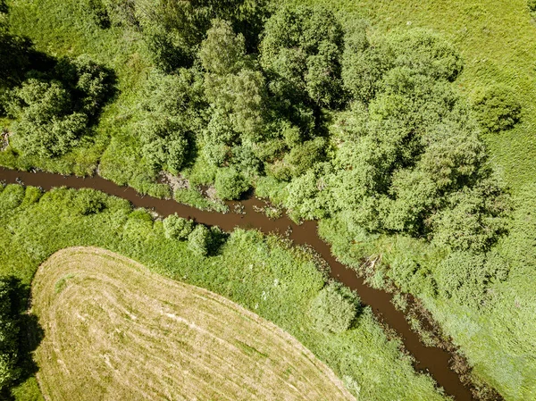 Country river in green forest. drone aerial image — Stock Photo, Image