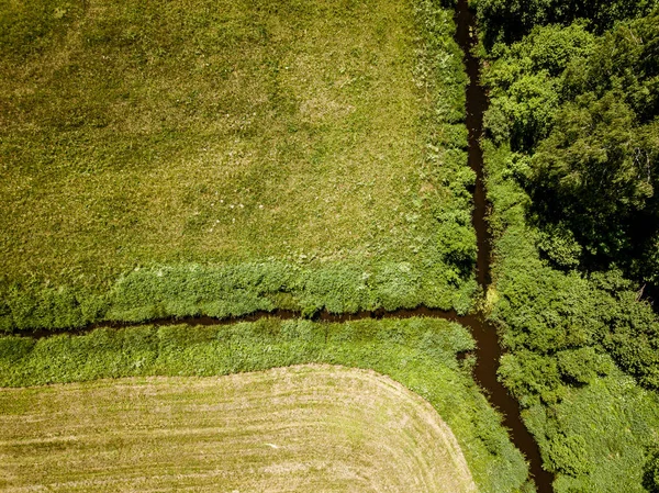 녹색 숲의 시골 강. 드론 항공 이미지 — 스톡 사진