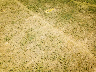 yaz aylarında drone havadan görüntü sonsuz yeşil orman