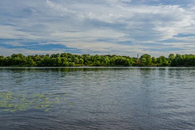 ormandaki orman gölünde sakin yaz günü akşamı