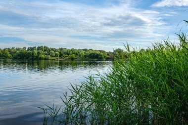 ormandaki orman gölünde sakin yaz günü akşamı