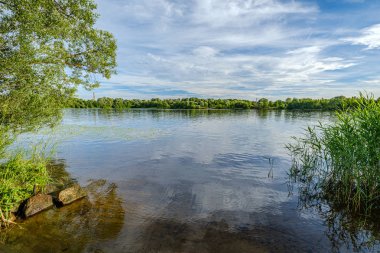 ormandaki orman gölünde sakin yaz günü akşamı