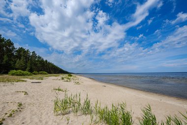 mavi s ile denizde kumlu plaj üzerinde dramatik renkli bulutlar