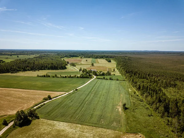 Landsväg i grön skog och fält drönarantenn bild — Stockfoto