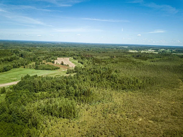 Endless green forest from drone aerial image in summer — Stock Photo, Image