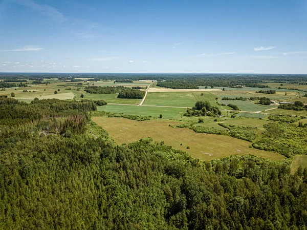 Oändlig Grön skog från Drone antenn bild på sommaren — Stockfoto