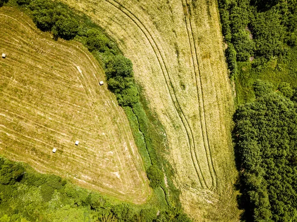 Termesztett mezőgazdasági területek a fenti madártávlatból nyáron — Stock Fotó