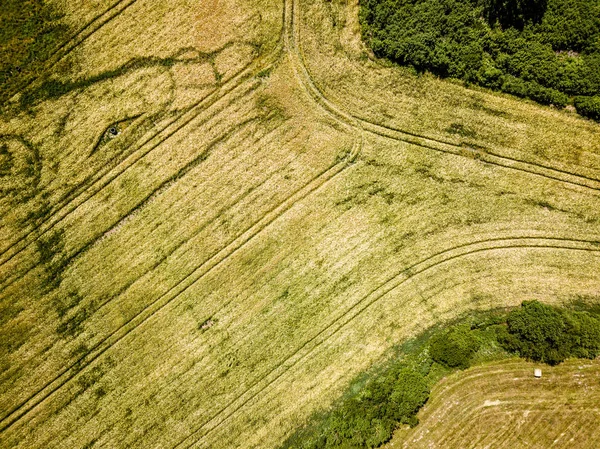 Культивовані сільськогосподарські поля над пташиним оком влітку — стокове фото