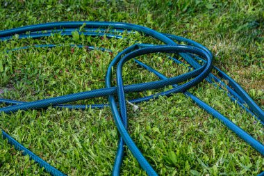 kır evi bahçesinde su borusu yılan