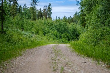 yaz yeşil akşam kırsal romantik çakıl kir yol