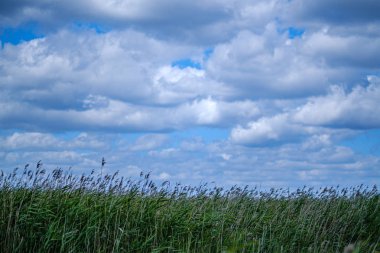 ülke üzerinde dramatik fırtına bulutları