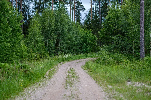 Romantic gravel dirt road in countryside in summer green evening — Stock Photo, Image