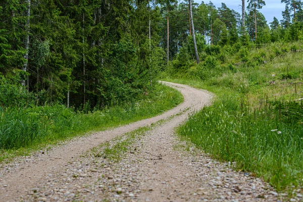 Estrada de terra cascalho romântico no campo no verão noite verde — Fotografia de Stock