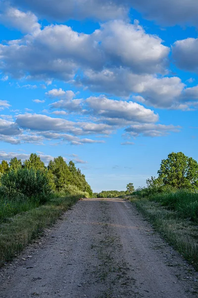 Романтична гравійна брудна дорога в сільській місцевості в літній зелений вечір — стокове фото